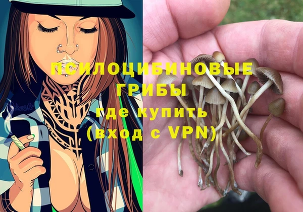 mix Аркадак
