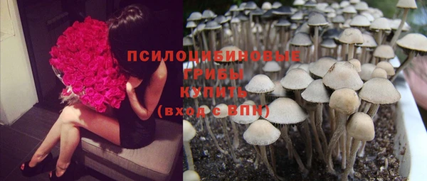 mix Аркадак
