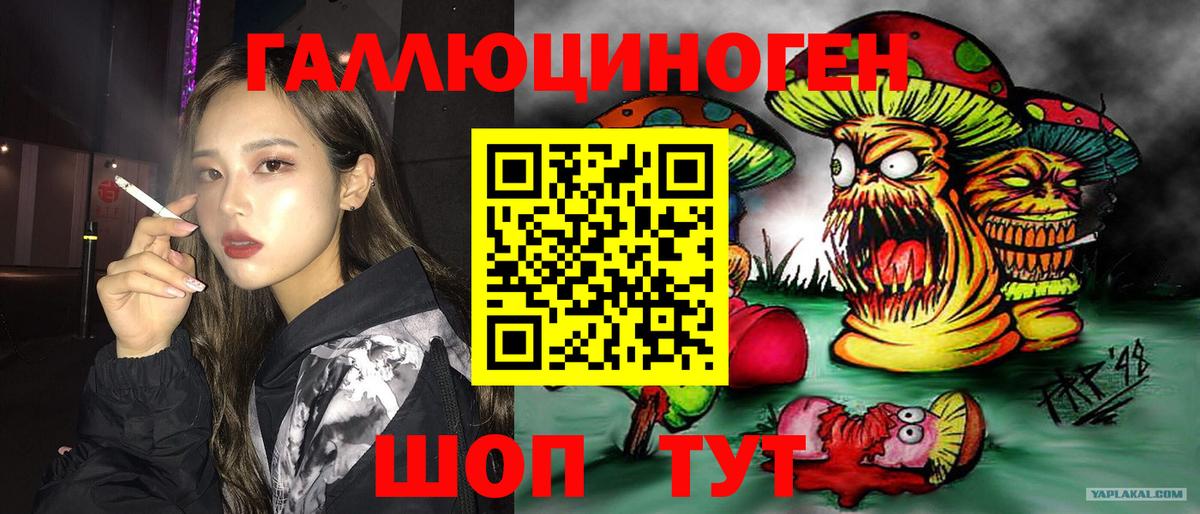 Галлюциногенные грибы прущие грибы Керчь